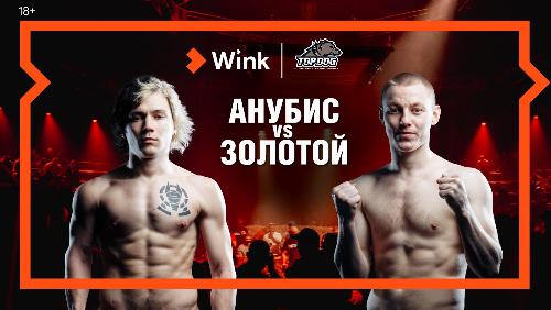 16 апреля в Wink впервые в прямом эфире кулачные бои TOP DOG